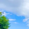 gnpmpmpjpt