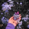 huad_ahmad011