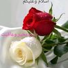 kashifkhaliq63