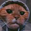 lost_frz
