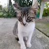 ghtugjyh