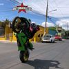 stuntpollo79