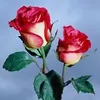 userdd35wpyprd