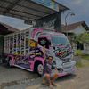 davitstroom