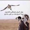 user22178716399810