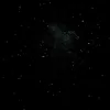 leo.m209
