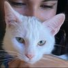 progamermoves6