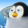 pidomsazura_lmlv