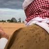 هاوي البر