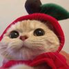 your_doudou