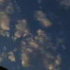 7c7r_r