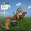 funnyflicks_tv