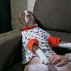 snoppy_1124