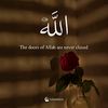 mominabbasi060