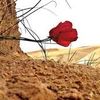 abw.adil5