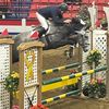 pzequestrian
