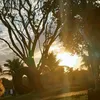 giovanaalves0583