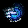 bluefarm_betta5