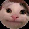 user4009844818690