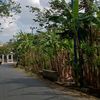 permatahati087