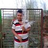 user25708155368362