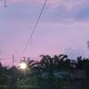nesty0817