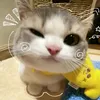 notyouryang0