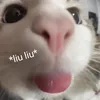 venhuynh168