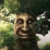 wise_mystical_tree.05
