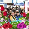 azizaelkhardali