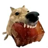 nhathoang_012