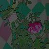 md.jalal.uddin9859