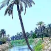 ali_al_rassam111