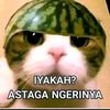 aufarbjir