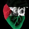 adamahmed65737