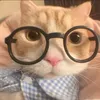 nhan48hi