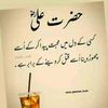 hafeezk558