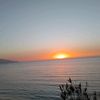 amine_5841