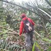 seputarsawitindo