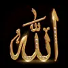 amirhossain1357