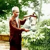minh.lu228