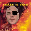 froggtokk4