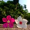 user4625943194495soniya