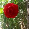 user2605135117908