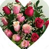 florii86