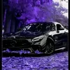 alejandro_8896