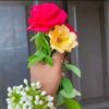 azmirhossain611