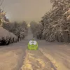bribjjj24