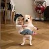 𝓒𝓱ả𝓸  🧣