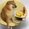 dogwithfoodoncouplechair